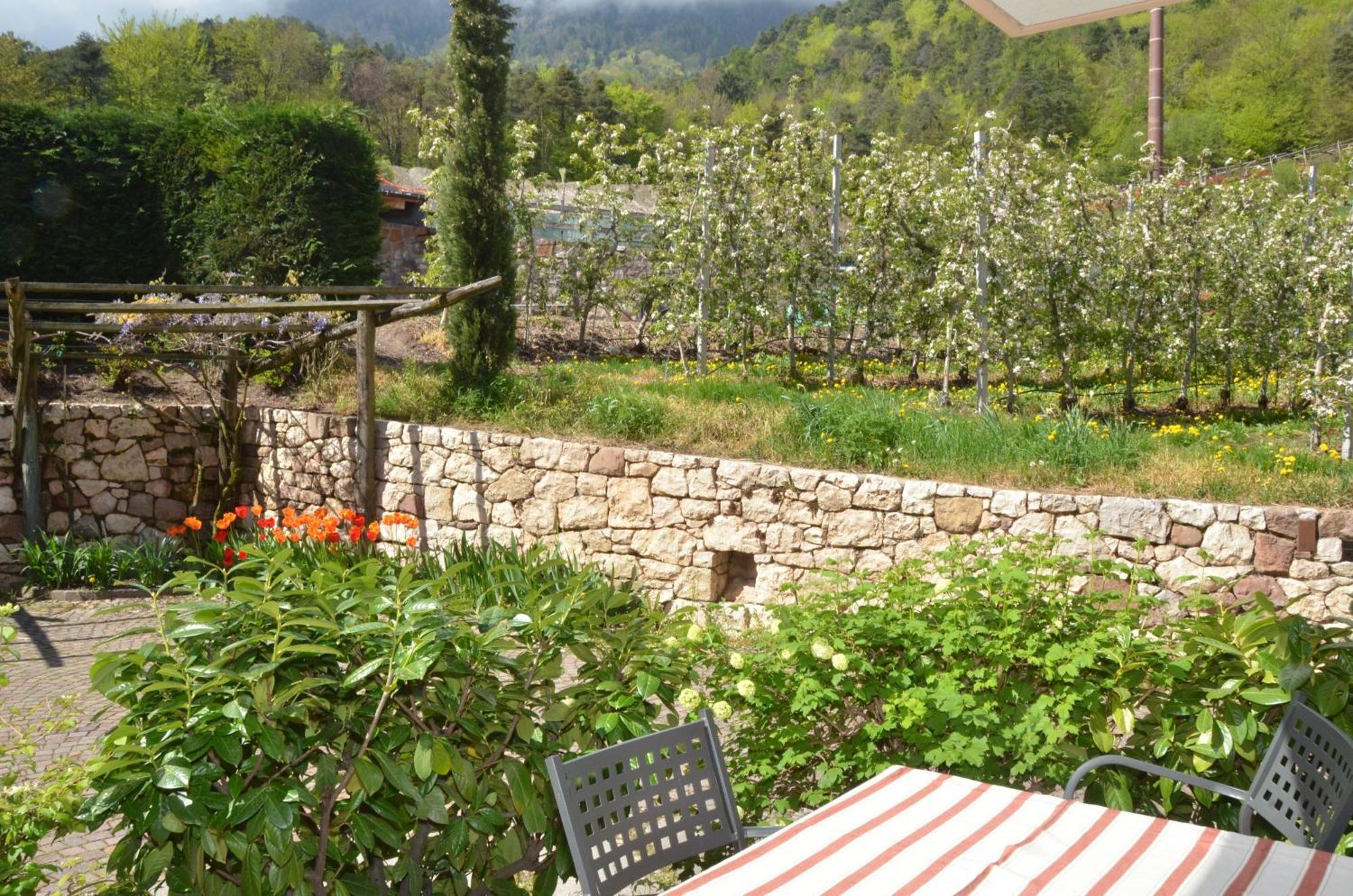 Schloss-Hof Appiano Sulla Strada Del Vino Bagian luar foto