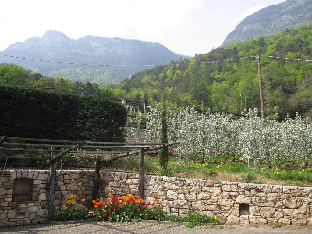 Schloss-Hof Appiano Sulla Strada Del Vino Ruang foto
